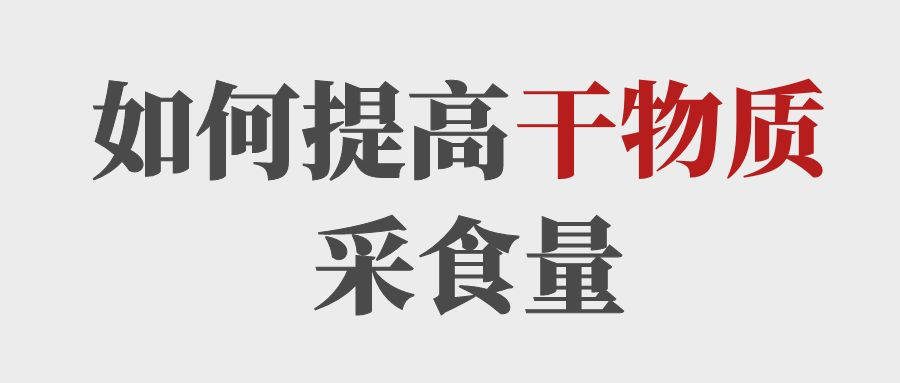 做到這5點提高育肥牛的干物質采食量！